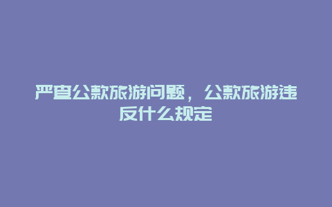 严查公款旅游问题，公款旅游违反什么规定