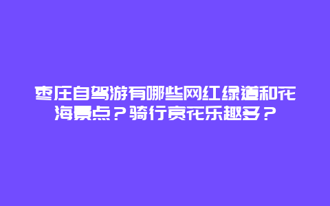 枣庄自驾游有哪些网红绿道和花海景点？骑行赏花乐趣多？