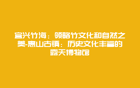 宜兴竹海：领略竹文化和自然之美-惠山古镇：历史文化丰富的露天博物馆