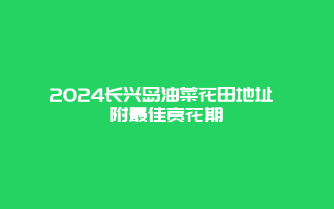 2024长兴岛油菜花田地址 附最佳赏花期