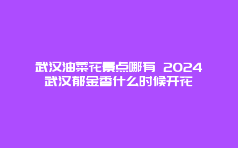 武汉油菜花景点哪有 2024武汉郁金香什么时候开花