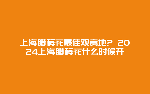 上海腊梅花最佳观赏地? 2024上海腊梅花什么时候开