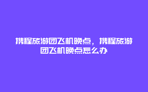 携程旅游团飞机晚点，携程旅游团飞机晚点怎么办