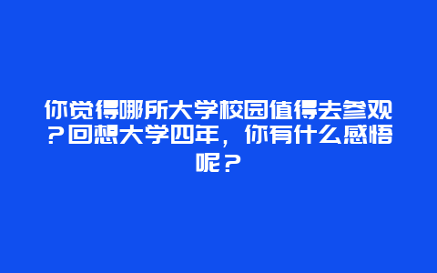 你觉得哪所大学校园值得去参观？回想大学四年，你有什么感悟呢？