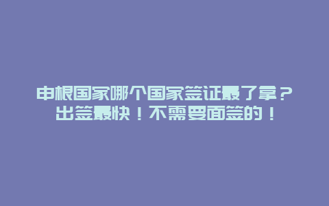 申根国家哪个国家签证最了拿？出签最快！不需要面签的！