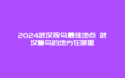 2024武汉观鸟最佳地点 武汉看鸟的地方在哪里