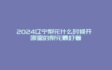 2024辽宁梨花什么时候开 哪里的梨花最好看