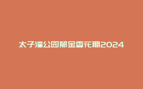 太子湾公园郁金香花期2024