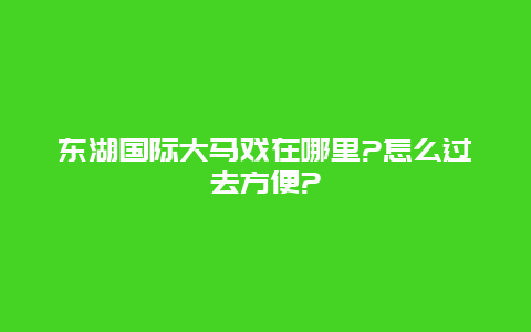 东湖国际大马戏在哪里?怎么过去方便?