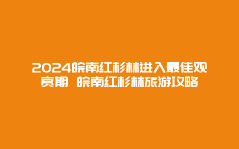 2024皖南红杉林进入最佳观赏期 皖南红杉林旅游攻略