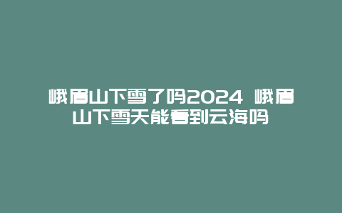 峨眉山下雪了吗2024 峨眉山下雪天能看到云海吗