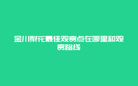 金川梨花最佳观赏点在哪里和观赏路线