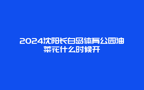 2024沈阳长白岛体育公园油菜花什么时候开