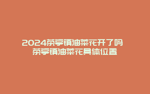 2024茶亭镇油菜花开了吗 茶亭镇油菜花具体位置