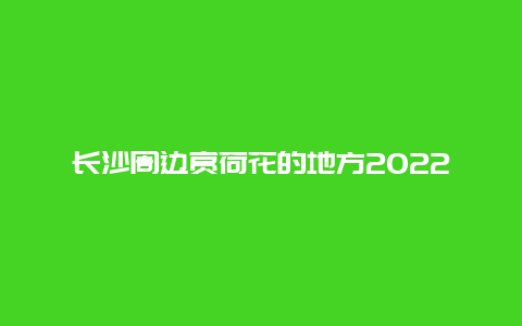 长沙周边赏荷花的地方2022