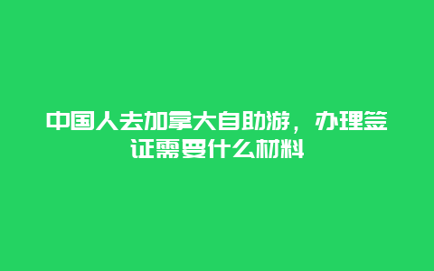 中国人去加拿大自助游，办理签证需要什么材料