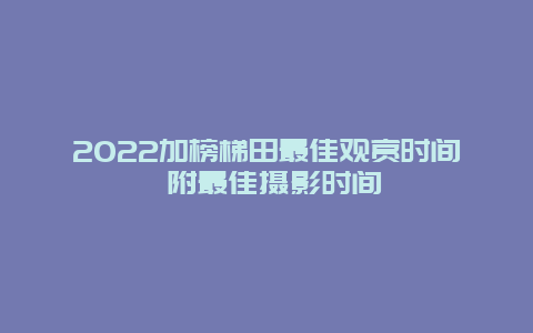 2022加榜梯田最佳观赏时间 附最佳摄影时间