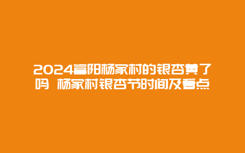 2024富阳杨家村的银杏黄了吗 杨家村银杏节时间及看点