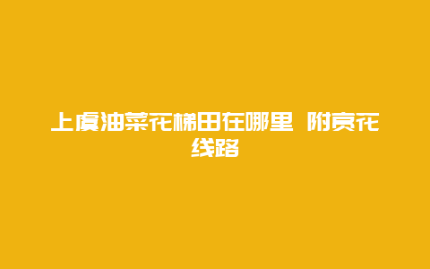 上虞油菜花梯田在哪里 附赏花线路