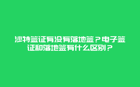 沙特签证有没有落地签？电子签证和落地签有什么区别？