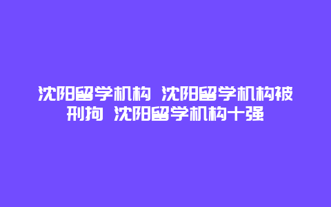 沈阳留学机构 沈阳留学机构被刑拘 沈阳留学机构十强