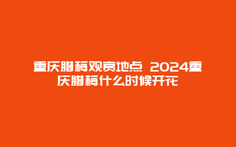 重庆腊梅观赏地点 2024重庆腊梅什么时候开花