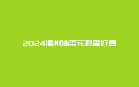 2024温州油菜花哪里好看