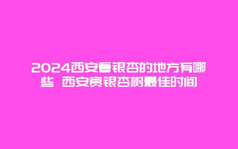 2024西安看银杏的地方有哪些 西安赏银杏树最佳时间