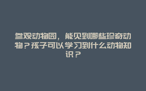 参观动物园，能见到哪些珍奇动物？孩子可以学习到什么动物知识？