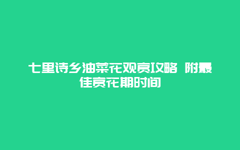 七里诗乡油菜花观赏攻略 附最佳赏花期时间