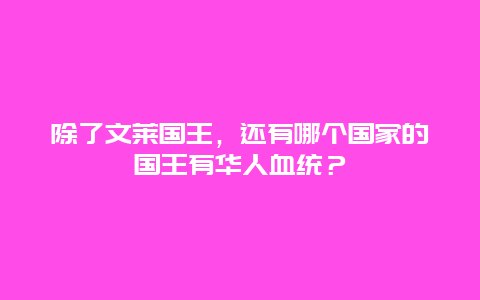 除了文莱国王，还有哪个国家的国王有华人血统？