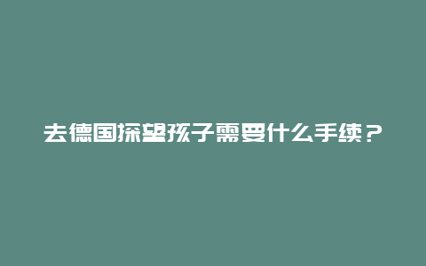 去德国探望孩子需要什么手续？