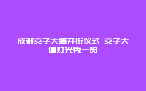 成都交子大道开街仪式 交子大道灯光秀一览