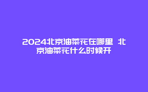 2024北京油菜花在哪里 北京油菜花什么时候开