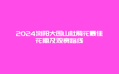 2024浏阳大围山杜鹃花最佳花期及观赏路线