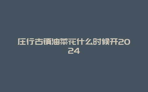 庄行古镇油菜花什么时候开2024