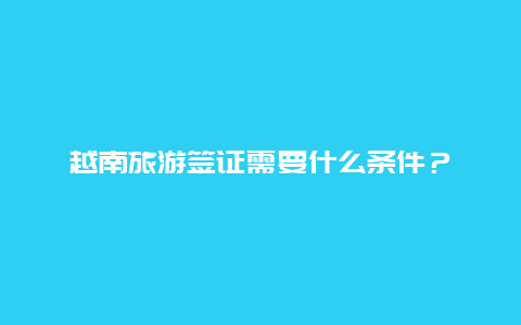 越南旅游签证需要什么条件？