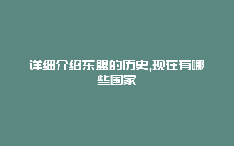 详细介绍东盟的历史,现在有哪些国家