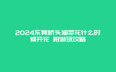 2024东莞桥头油菜花什么时候开花 附游玩攻略