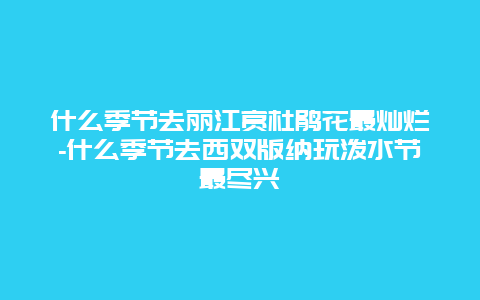 什么季节去丽江赏杜鹃花最灿烂-什么季节去西双版纳玩泼水节最尽兴