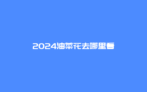 2024油菜花去哪里看