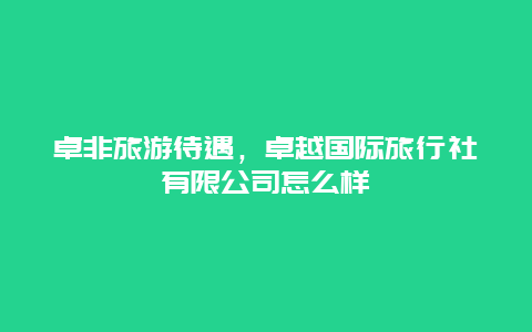 卓非旅游待遇，卓越国际旅行社有限公司怎么样