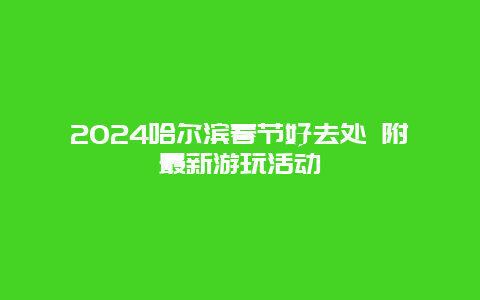 2024哈尔滨春节好去处 附最新游玩活动