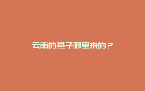 云南的燕子哪里来的？