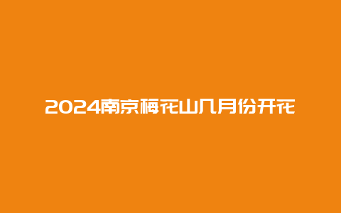 2024南京梅花山几月份开花