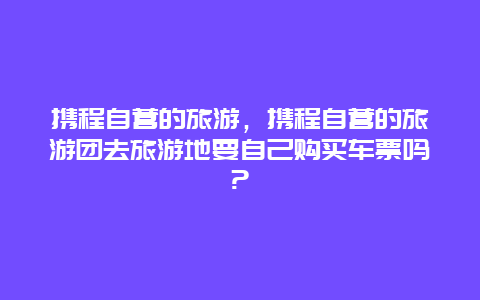 携程自营的旅游，携程自营的旅游团去旅游地要自己购买车票吗?