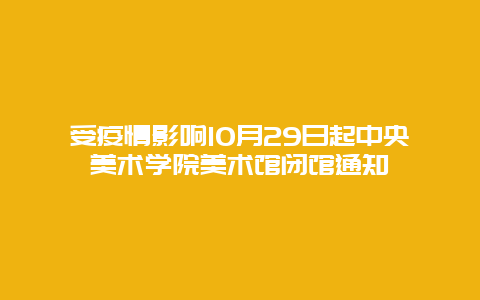 受疫情影响10月29日起中央美术学院美术馆闭馆通知