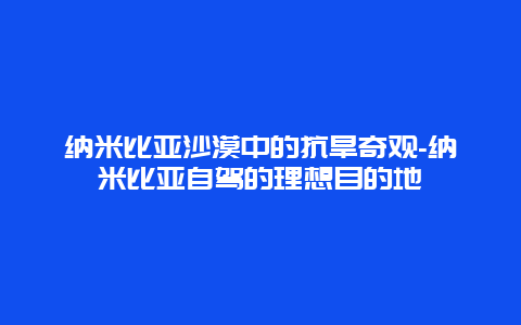 纳米比亚沙漠中的抗旱奇观-纳米比亚自驾的理想目的地