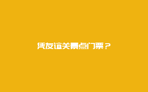 凭友谊关景点门票？