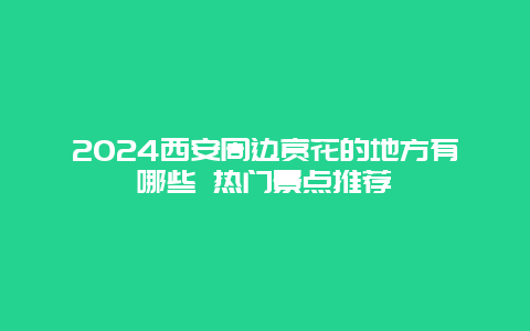 2024西安周边赏花的地方有哪些 热门景点推荐